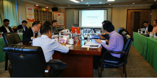 龙8集团召开子公司战略发展规划评审会