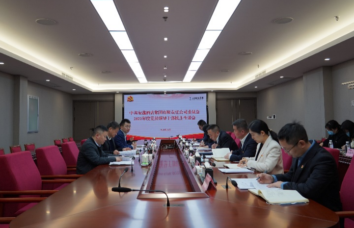 龙8集团党委书记、董事长任丁出席安逸酒店集团2022年度党员领导干部民主生活会